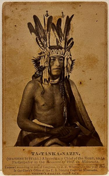 Ta-Tanka-Nazin, (Standing Buffalo.)
