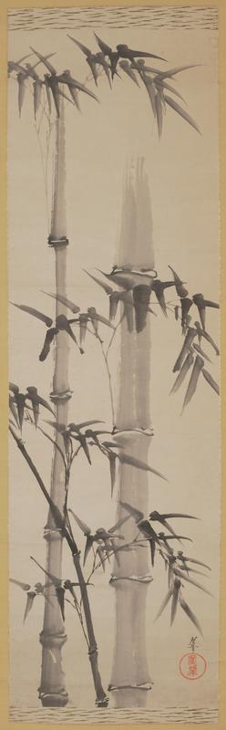 Bamboo
